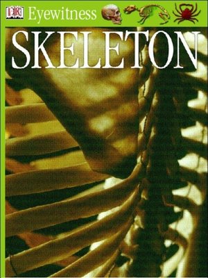 cover image of Eyewitness GUides:  Skeleton
